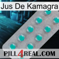 Kamagra Juice 28